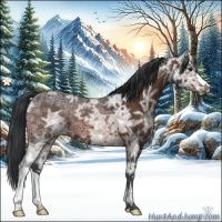 Horse Color:Brown Ice 