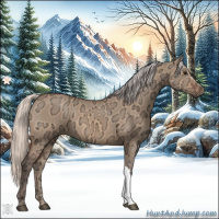 Horse Color:Silver Bay Ice Dun 