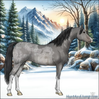 Horse Color:Brown Ice Dun 