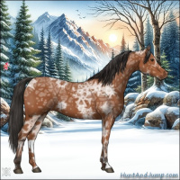 Horse Color:Bay Ice 