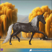 Horse Color:Liver Chestnut Mushroom Rabicano