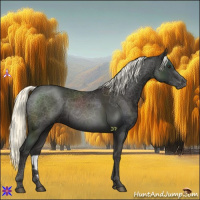 Horse Color:Liver Chestnut Mushroom 