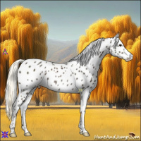 Horse Color:Liver Chestnut Mushroom Leopard 