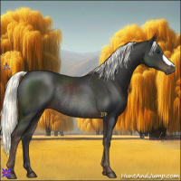 Horse Color:Liver Chestnut Mushroom Rabicano 