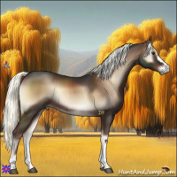 Horse Color:Liver Red Onyx Mushroom Rabicano 