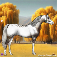 Horse Color:Liver Red Onyx Mushroom Frame Near Leopard 