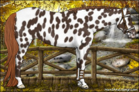 Horse Color:Liver Chestnut Near Leopard 