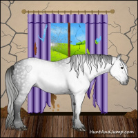 Horse Color:Gray Black 