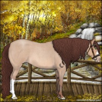 Horse Color:Chocolate Sable Champagne Roan