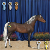 Horse Color:Liver Chestnut Mushroom 