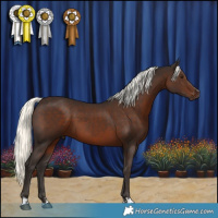 Horse Color:Liver Chestnut Mushroom 