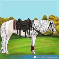 Horse Color:Silver Smoky Creme Tobiano 