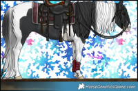 Horse Color:Black Tobiano 