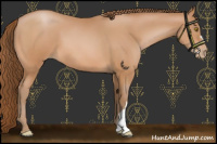 Horse Color:Bay Pearl 
