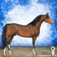 Horse Color:Bay Sabino 