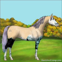 Horse Color:Painted Palomino Roan Splash 