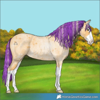 Horse Color:Painted Palomino Roan Splash Rabicano 