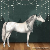Horse Color:White Spotted Cremello Dun Appaloosa 