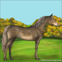 Horse Color:Chocolate Palomino 