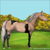 Horse Color:Void Silver Classic Champagne Tobiano 