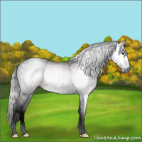 Horse Color:Gray Void Silver Brown Splash Tobiano 