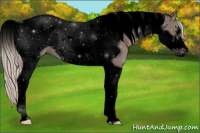 Horse Color:Void Silver Black Tobiano Frame 