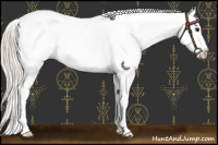 Horse Color:Silver Bay Sabino Splash Appaloosa 