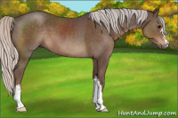 Horse Color:Silver Black 