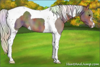 Horse Color:Nacre Silver Black Tobiano 