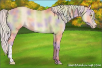 Horse Color:Nacre Silver Classic Champagne 