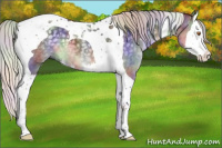 Horse Color:Nacre Silver Black Chinchilla Splash Tobiano 