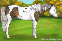 Horse Color:Silver Smoky Black Splash Tobiano 