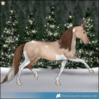 Horse Color:Brown Pearl Dun Tobiano 