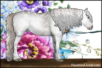 Horse Color:Gray Plaid  White Spotted Liver Chestnut 