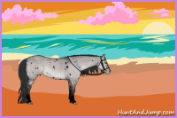 Horse Color:Void Platinum White Spotted Brown Dun Varnish Rabicano 
