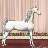 Horse Color:Silver Classic Champagne Roan Dun Splash Tobiano Frame Appaloosa Rabicano