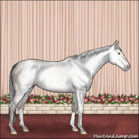 Horse Color:Gray Amber Champagne