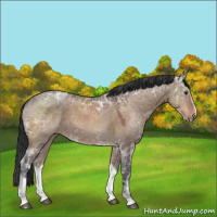 Horse Color:Brown Ice Dun Sabino 