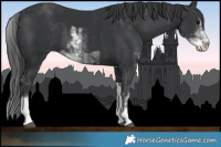 Horse Color:Black Sabino