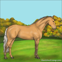 Horse Color:Silver Buckskin 