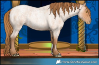 Horse Color:Bay Roan Pearl 