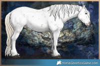 Horse Color:Chocolate Palomino Sabino 