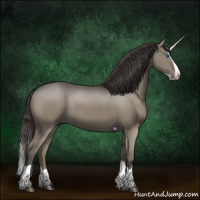 Horse Color:Smoky Grullo Splash 