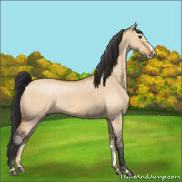 Horse Color:Bay Roan Dun Splash 
