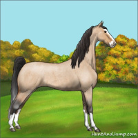 Horse Color:Bay Roan Dun Splash 