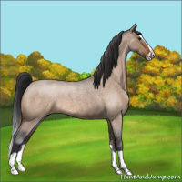 Horse Color:Bay Roan Dun Splash 