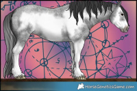 Horse Color:Blue Roan Sabino Splash Frame 