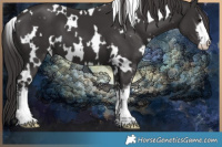 Horse Color:White Spotted Smoky Black 