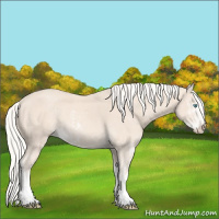 Horse Color:Cremello Sabino and Cremello Sabino