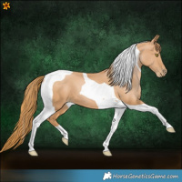Horse Color:Chestnut Pearl Tobiano 